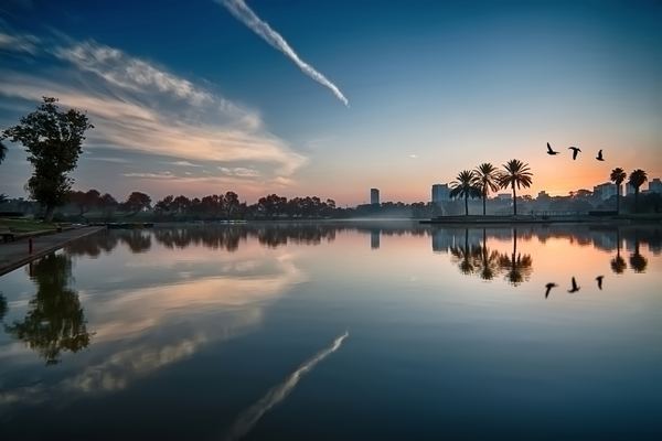 Urban Nature — Green Cities